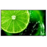 NEC MultiSync E658 165,1 cm (65") IPS 350 cd / m² 4K Ultra H | APLIUM