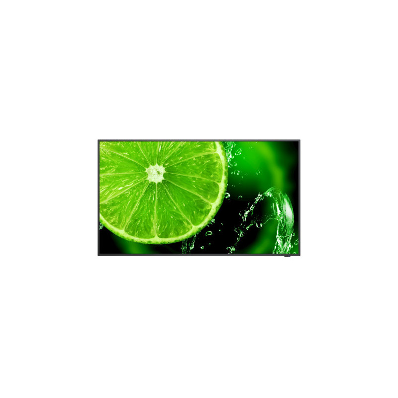 60005045 - NEC MultiSync E438 Pantalla plana para | APLIUM