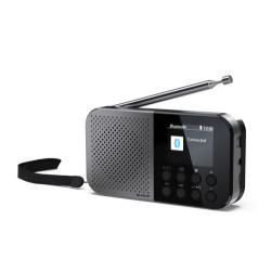 Sharp DR-P520 Personal Digital Gris | APLIUM