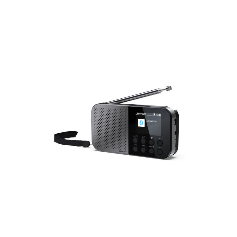Sharp DR-P520 Personal Digital Gris | APLIUM