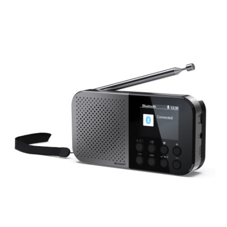 Sharp DR-P520 Personal Digital Gris | APLIUM
