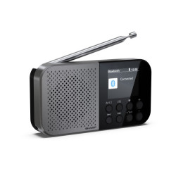 Sharp DR-P520 Personal Digital Gris | APLIUM