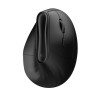 Ewent EW3208 ratón Universal mano derecha RF Wireless + Blue | APLIUM