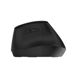 Ewent EW3208 ratón Universal mano derecha RF Wireless + Blue | APLIUM