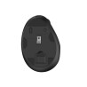 Ewent EW3208 ratón Universal mano derecha RF Wireless + Blue | APLIUM
