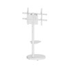 Ewent EW1550 soporte para TV 2,18 m (86") Blanco | APLIUM