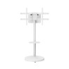 Ewent EW1550 soporte para TV 2,18 m (86") Blanco | APLIUM