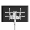 Ewent EW1550 soporte para TV 2,18 m (86") Blanco | APLIUM