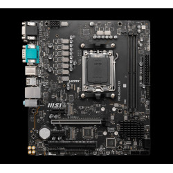 Placa Msi Pro A620M-C EX,AMD,AM5,A620,2DDR5,128GB,VGA+DVI+HD | APLIUM