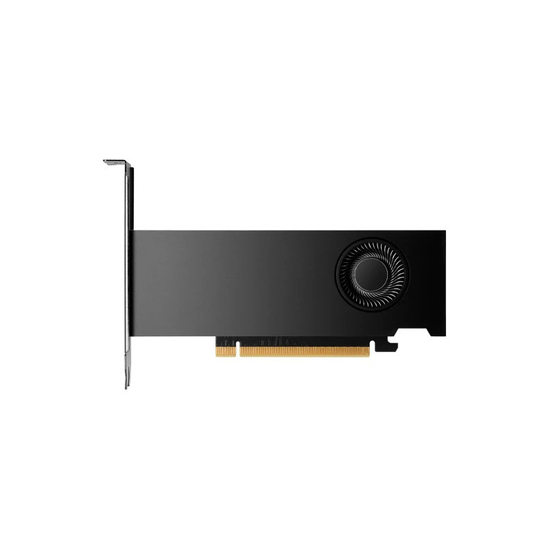 VGA Pny Rtx 2000 Ada (OEM),NV,GDDR6,16GB,128BIT,4XDP 1.4,281 | APLIUM