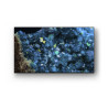 Sony FWD-83A80L Televisor 2,11 m (83") 4K Ultra HD Smart TV | APLIUM