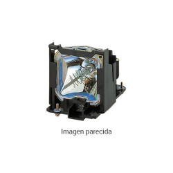 Benq Proyector Accesorios (5J.JED05.A01) Lamp Module TH68 | APLIUM