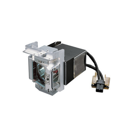 Benq 5J.J5105.001 lámpara de proyección 220 W | APLIUM