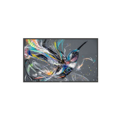 Monitor Philips 65" Q-line / Panel IPS D-led 16:9 / 3840X216 | APLIUM