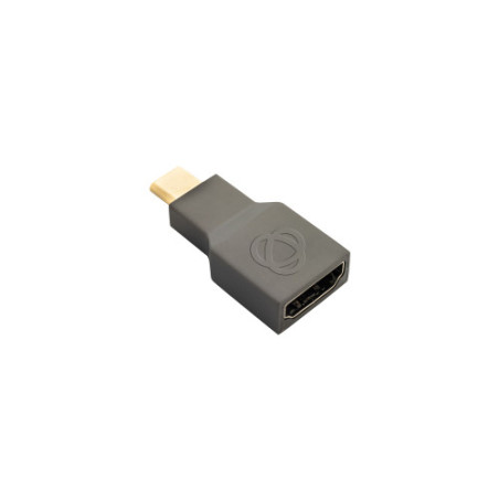 Kramer Electronics AD-DP/DF USB-C HDMI Gris | APLIUM