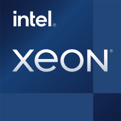 Intel Xeon E-2386G procesador 3,5 GHz 12 MB Smart Cache | APLIUM
