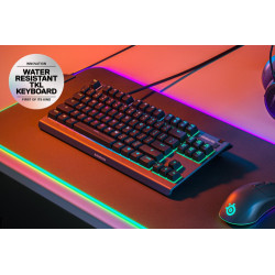 Steelseries APEX 3 TKL teclado USB QWERTY Inglés de EE. UU. | APLIUM