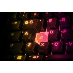 Steelseries APEX 3 TKL teclado USB QWERTY Inglés de EE. UU. | APLIUM
