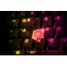 Steelseries APEX 3 TKL teclado USB QWERTY Inglés de EE. UU. | APLIUM