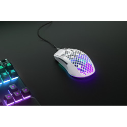 Steelseries Aerox 3 ratón mano derecha USB Tipo C Óptico 850 | APLIUM