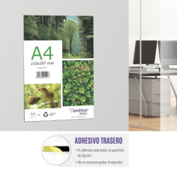 PORTAFOLLETOS MURAL PREMIUM A4 VERTICAL ADHESIVO 210x300MM A | APLIUM