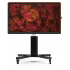 Ctouch Canvas 75" Regal Orange Inglass Optically Bonded Touc | APLIUM