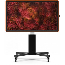 Ctouch Canvas 65" Regal Orange Inglass Optically Bonded Touc | APLIUM