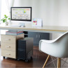 Ewent EW1291 soporte de CPU Carro para equipo informático Ne | APLIUM