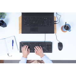 Trust Primo teclado USB QWERTY Español Negro | APLIUM