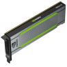 PNY TCST4M-PB tarjeta gráfica NVIDIA Tesla T4 16 GB GDDR6 | APLIUM