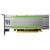 PNY TCST4M-PB tarjeta gráfica NVIDIA Tesla T4 16 GB GDDR6 | APLIUM