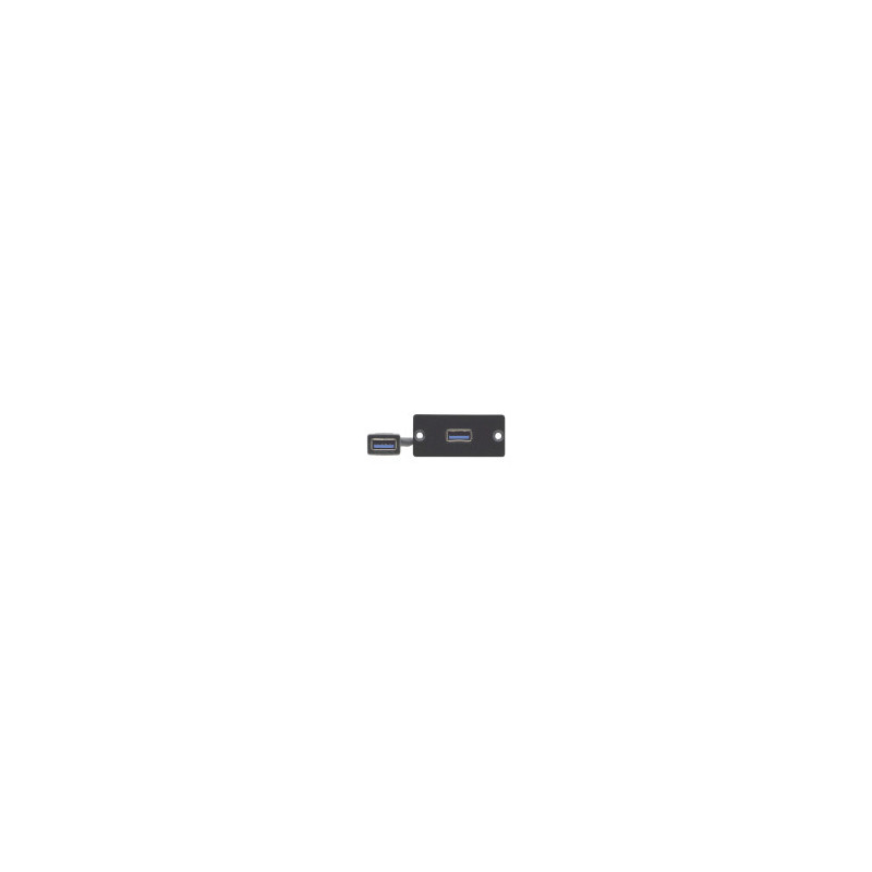WU3-AA(B). Wall Plate Insert USB 3.0 (A/A) Black | APLIUM