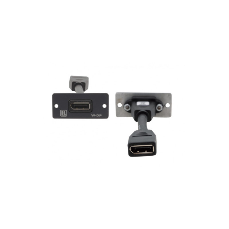 W-dp Wall Plate Insert - Displayport | APLIUM