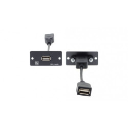 WU-AA(B). Wall Plate Insert USB (A/A) - Black | APLIUM