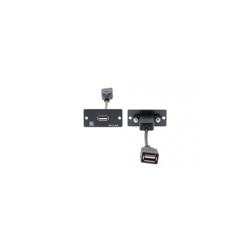 WU-AA(B). Wall Plate Insert USB (A/A) - Black | APLIUM