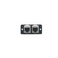 W4545 Wall Plate Insert - Dual RJ-45 G | APLIUM