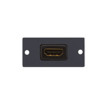 W-H(W-HDMI)(G) Gray HDMI Wall Plate Insert | APLIUM