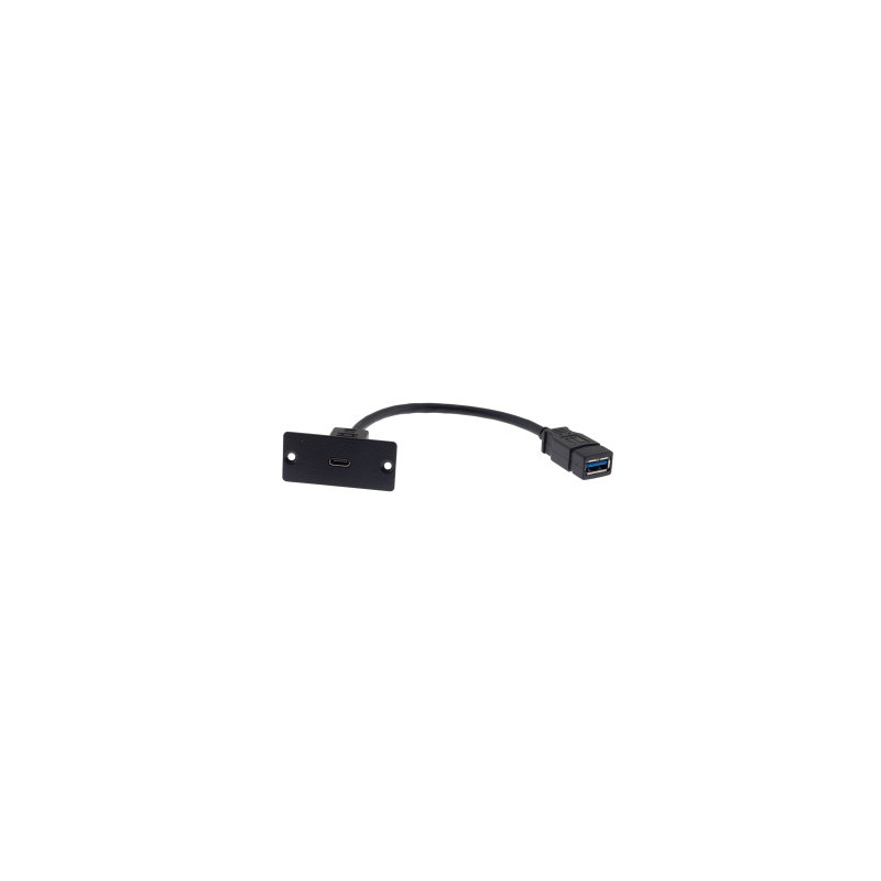 WU-CA(B) Wall Plate Insert - USB3.0 Type C(F) To Type A(F) C | APLIUM