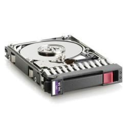 Dual Port Harddisk 146 GB