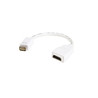 Mini DVI to HDMI Adapter Macbooks/iMacs
