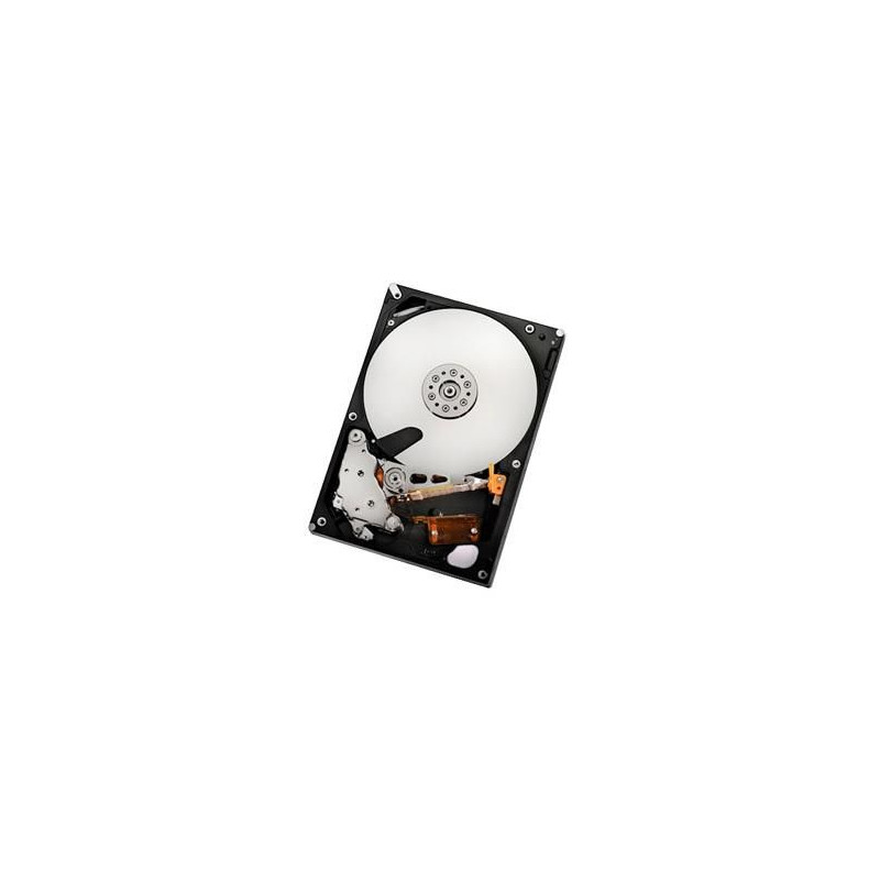 2TB SATAII 32MB, RAID