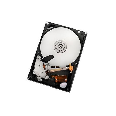 2TB SATAII 32MB, RAID