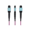 Cable De Fibra Optica MTP/MPO 3M - 24F Type-b OS2 Plenum | APLIUM