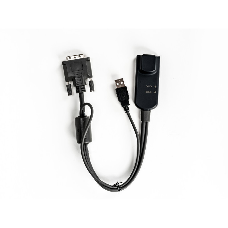 Server Interface Module for DVI video