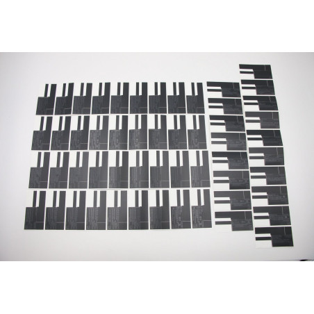 LABEL LABEL GEO ASM