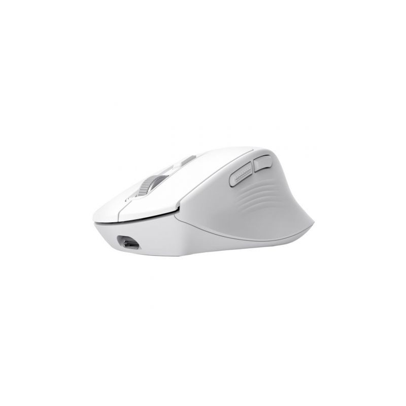 Ratón Inalámbrico Trust Niven Confort 26022/ Batería recarga | APLIUM