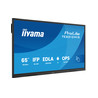 65" iiWare13E Android 14 8/128GB