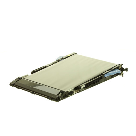 Image Transfer Belt