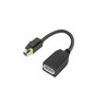 ThinkStation Mini DP to DP Adapter