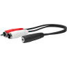 3.5MM Female to RCA Male